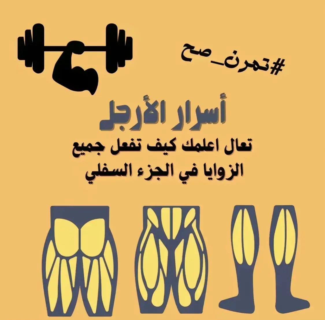 #كمال_الاجسام #تضخيم #تنشيف #gym #كاربوهايدرات #نظام_صحي #نظام_صحي #بروتين #مكملات_غذائيه #تيستوستيرون #نظام_غذائي #fbyツ #prank #fyb 