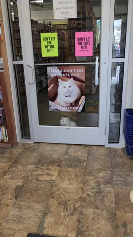 Please Don't Let The Cats Out!  Especially Odin. Odin is one of the main reasons we installed our new cat door (to help keep him out of the entryway) #TurkishAngoraCat #CatDoor #TheMightyOdin #CatBookstore  #OdinTheBookstoreCat