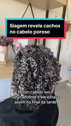 Você é do time que ama ou odeia?  Testando a linha Siage Revela Cachos no cabelo poroso  Parte 1   . . .   #cachos #crespos #cabelocacheado #eudora #siageeudora #siage #transicaocapilar #transicsocapilar #cabeloporoso #cabeloporosonuncamais #cachosdefinidos #fitagem #fitagemdecachos 