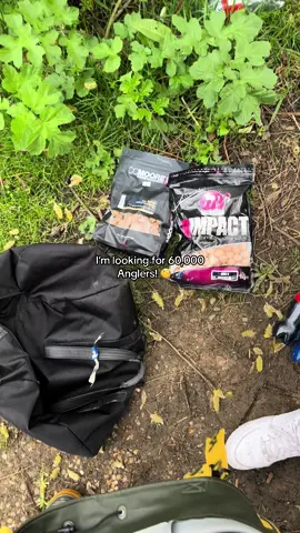 Who loves doing abit of Pre Baiting? #fyp #foryou #foryoupage #fishing #fishinglife #fishtok #angler #carpfishing #nayzofishing #viral 