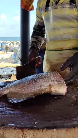 Batfish Cutting...#fish #fishcut #fishcuttingvideo #fishcuttingskills #fishcuttingsrilanka #fishing #fishtok #fishinglife #fisherman #fishingtiktoks #fishtank #fishingtips #fishcontent