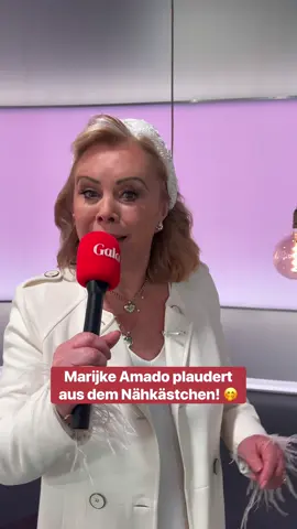 Nur 3 Stunden verheiratet?! 🤯 #realtalk #marijkeamado #miniplaybackshow #gala 