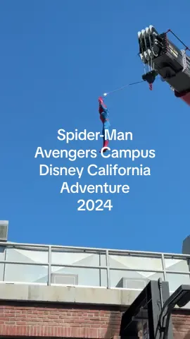 A Spider-Man sighting at Avengers Campus at Disney California Adventure!  #disney #disneyparks #disneyland #disneycaliforniaadventure #spiderman @Disney Parks 