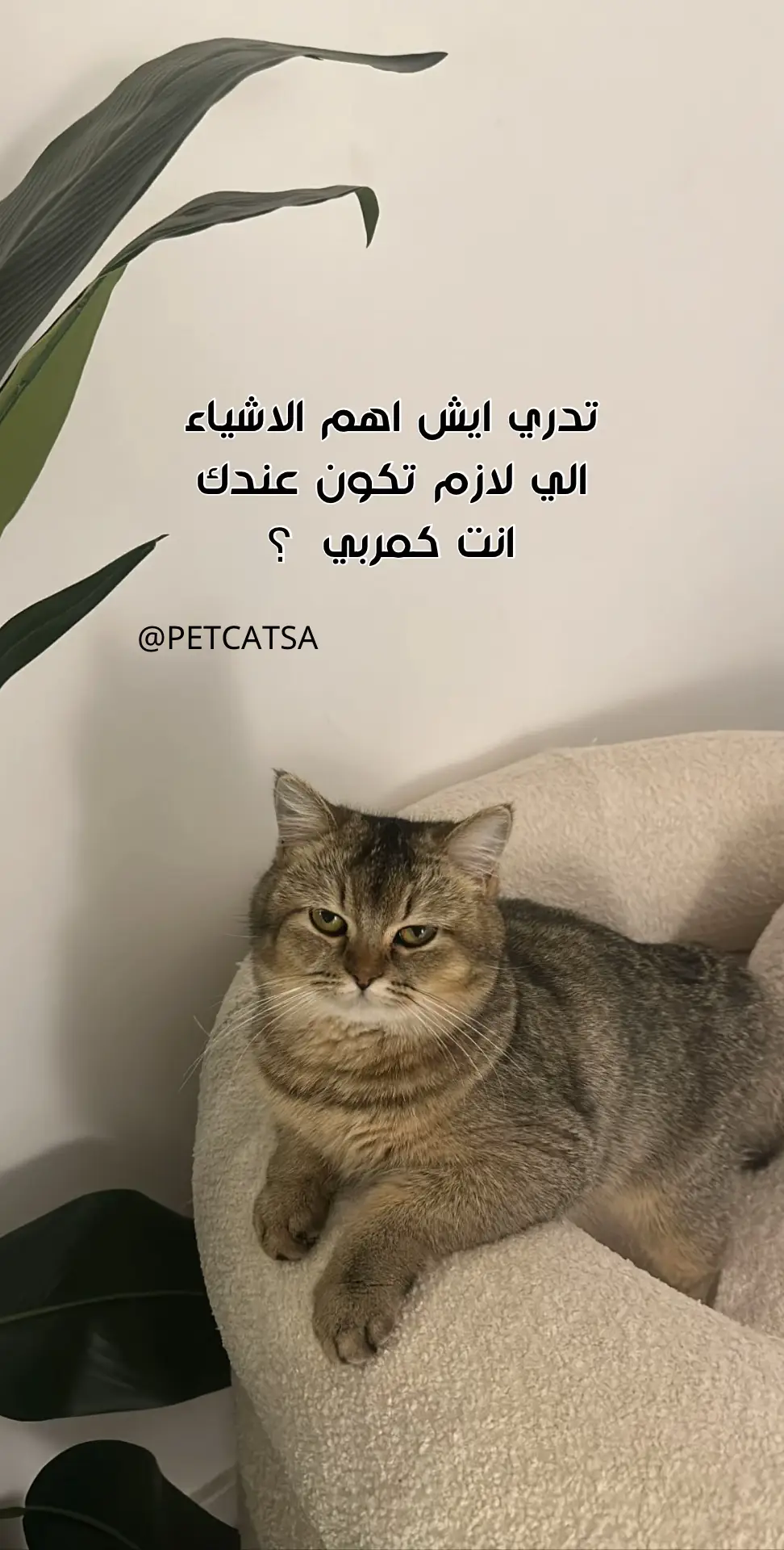 اهتموا بنظافتهم عشان مايجيهم فطريات 😠😠