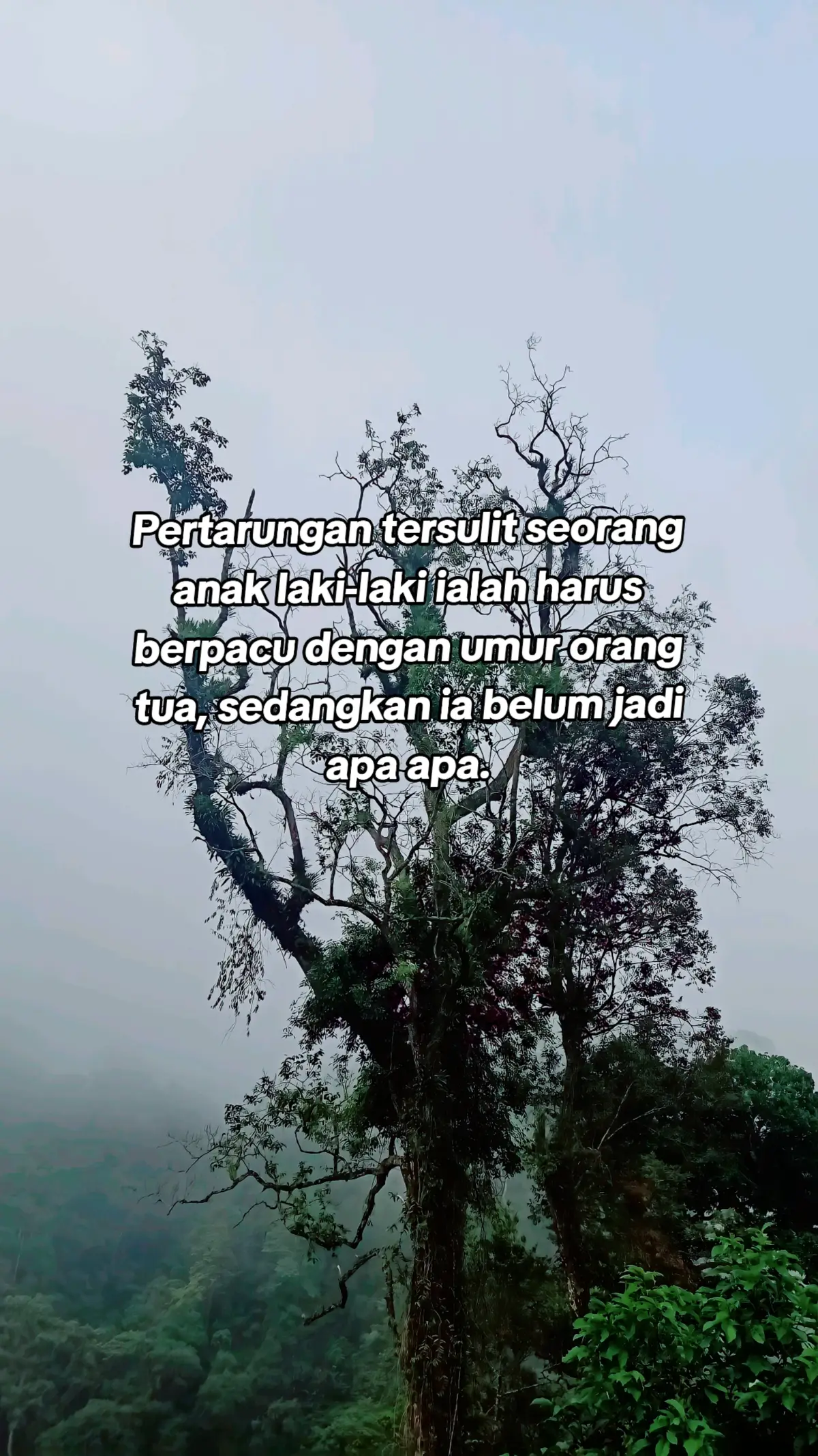 💪 #songhindi #sadvibes #foryou #sadsong #laguindia #anaklakilaki #orangtua #sukses 