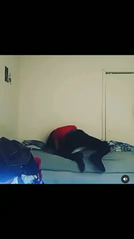 shamar bent up fighting a pillow #fyp #funny #katandshamar 