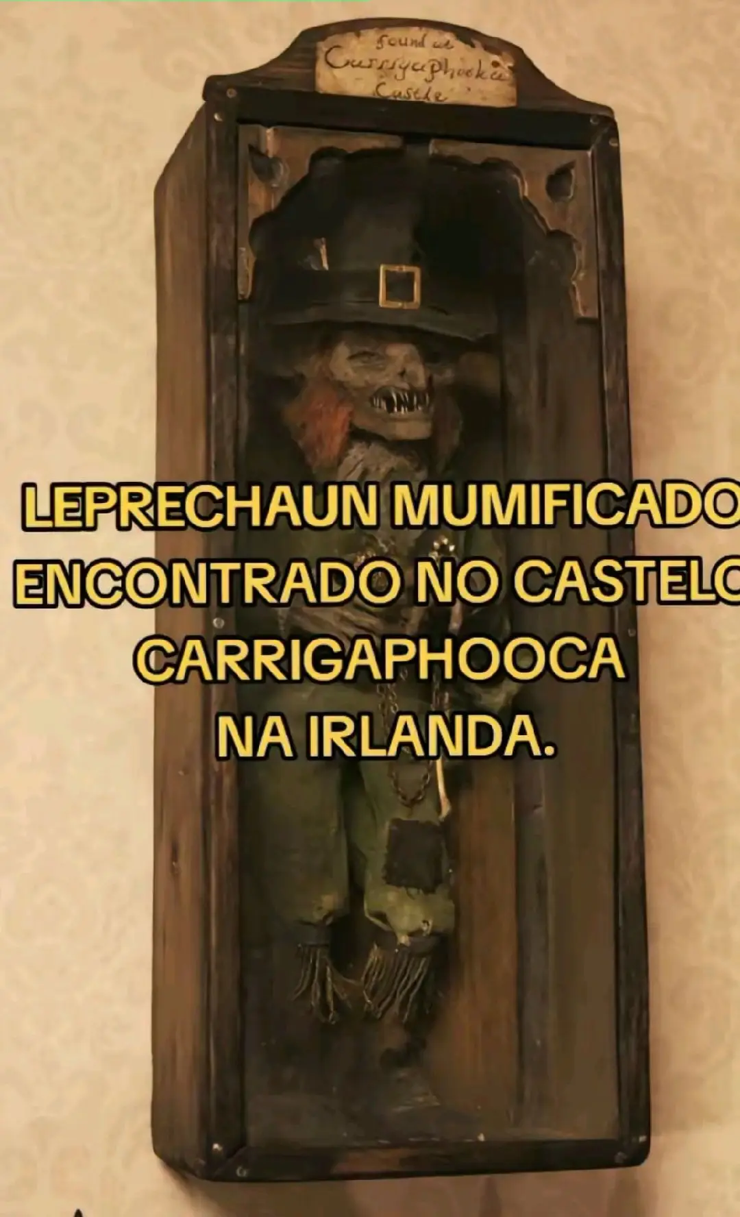 Según los informes, esta criatura fue encontrada en una tumba de piedra de un castillo medieval en Irlanda durante las excavaciones en 2005. muchos creen que es un duende malvado que fue encarcelado en el castillo a través de un pacto....#leprechaun #pac  to#leprechau #horror #Terror #sinistro #misterio 