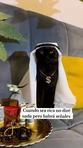 #blackcat #lovercat #millonario #rico #cuandoseariconodirenaperohabráseñaes #cuandosearico #dinero #gato 