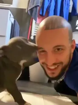 #pet #pets 