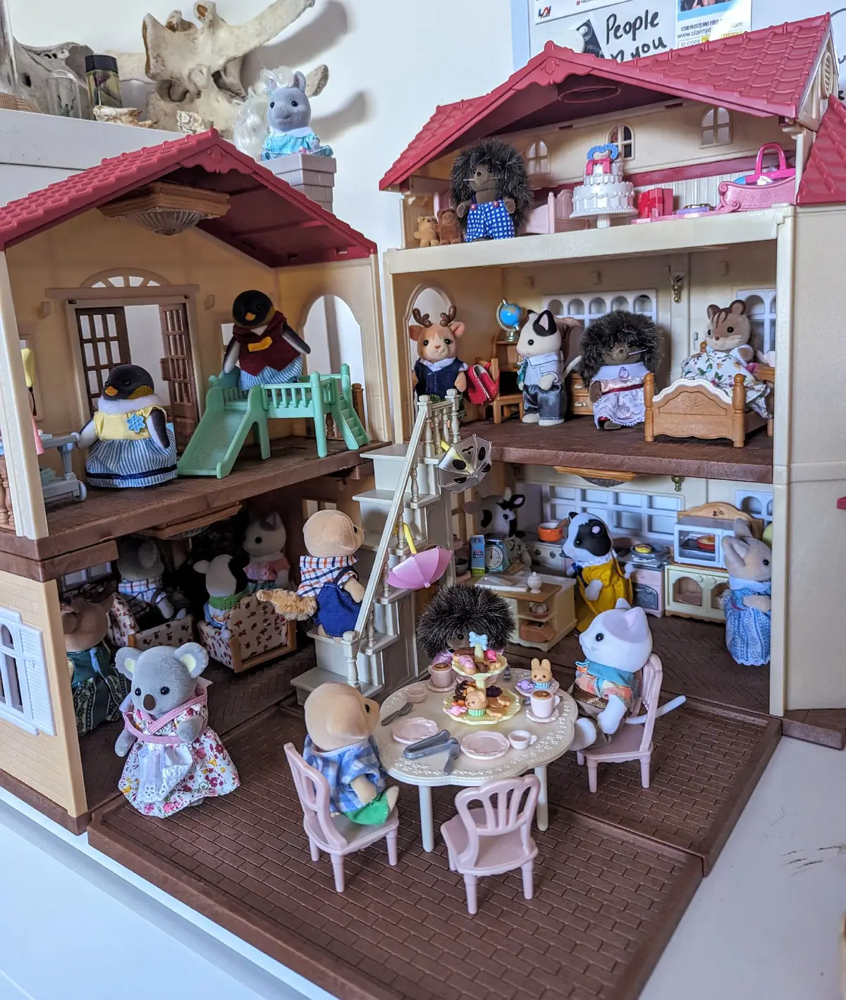 I didn't film it but I finished setting up my house and moved everyone in! I'll make a house tour video later :) #sylvanianfamily #calicocritters #sylvanianfamiliescollection #sylvanianfamilies #sylvanianfamiliestiktok #toycollector #cute 