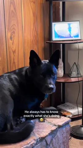 Even when shes gone 🥹 #sosweet #fyp #fpryoupage #dogsoftiktok #Love #kidsoftiktok #rescuedog #wholesome 