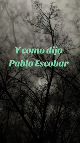 🧐 #reflexionesdelavida #tiktok #fypシ #pabloescobarelpatróndelmal #frases #simple #saludmental #quito_ecuador🇪🇨 