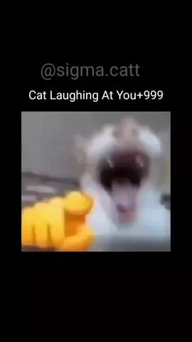 Cat Laughing At You+999 #meme #memes #memestiktok #fyp #fypシ #foryou #follow #capcut #mlbb #free_fire 