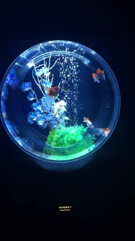 百華繚乱 江戸時代から続く金魚鑑賞という文化を、芸術作品“アートアクアリウム”として現代に表現 #アートアクアリウム#金魚#笑顔の輪 #水槽