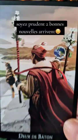 soyez prudent ce jour 2 bonnes arrivent🥳 #voyance #tirage #tiragedecarte #medium 