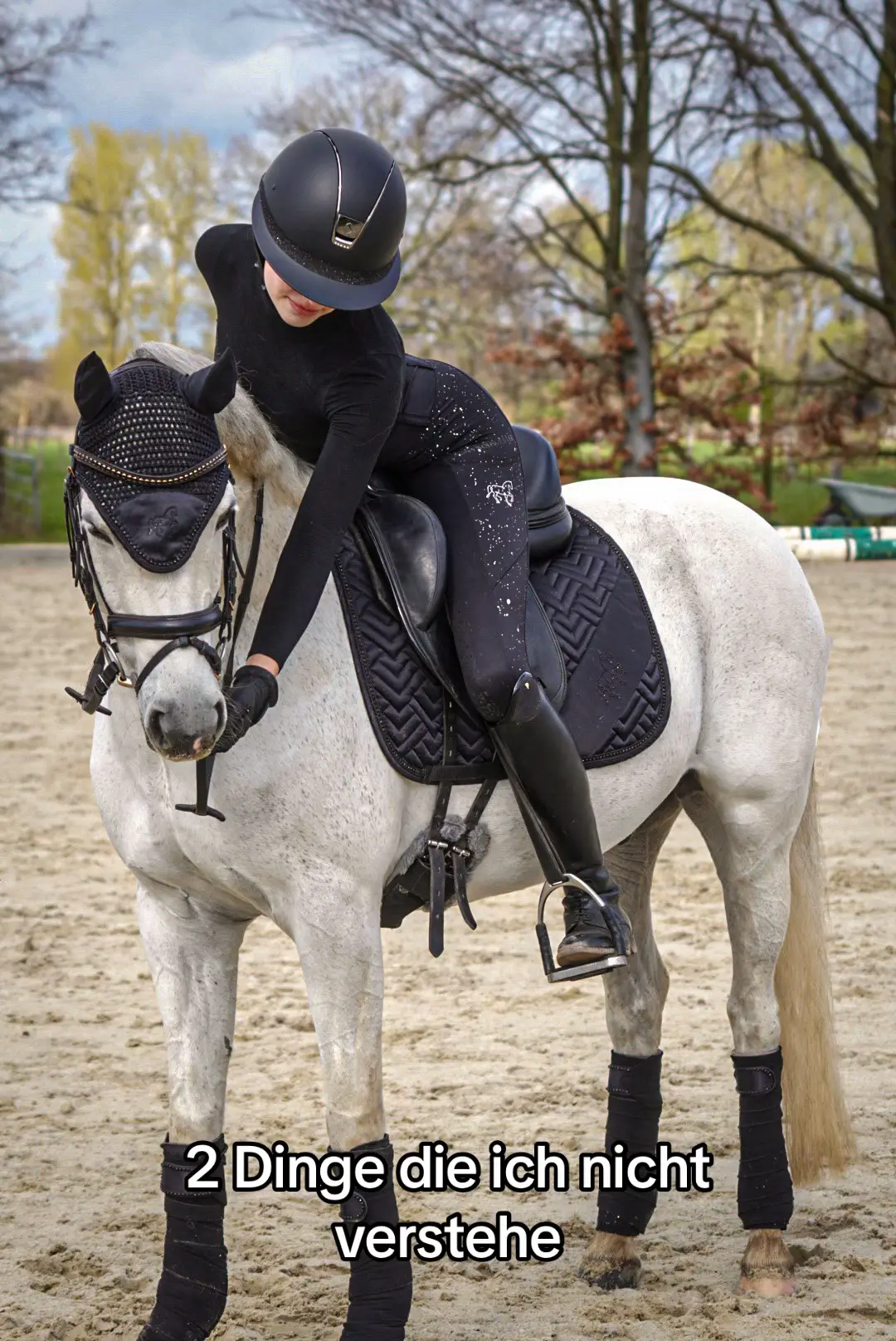 Wie würdet ihr euch selbst in 3 worten beschreiben? #cosy#trend#viral#equestrian