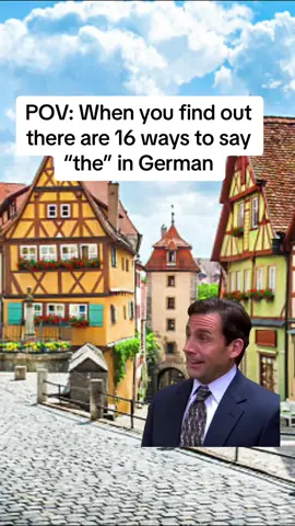 German grammar making me question my sanity, one “the” at a time 🫠🇩🇪 #LanguageLearning #learnalanguage #fluent #learninggerman #germanlearning #languagememes #speakgerman #bilingual #studygerman #studylanguages #germangrammar #MemeCut #MemeCut #MemeCut #Meme #MemeCut 