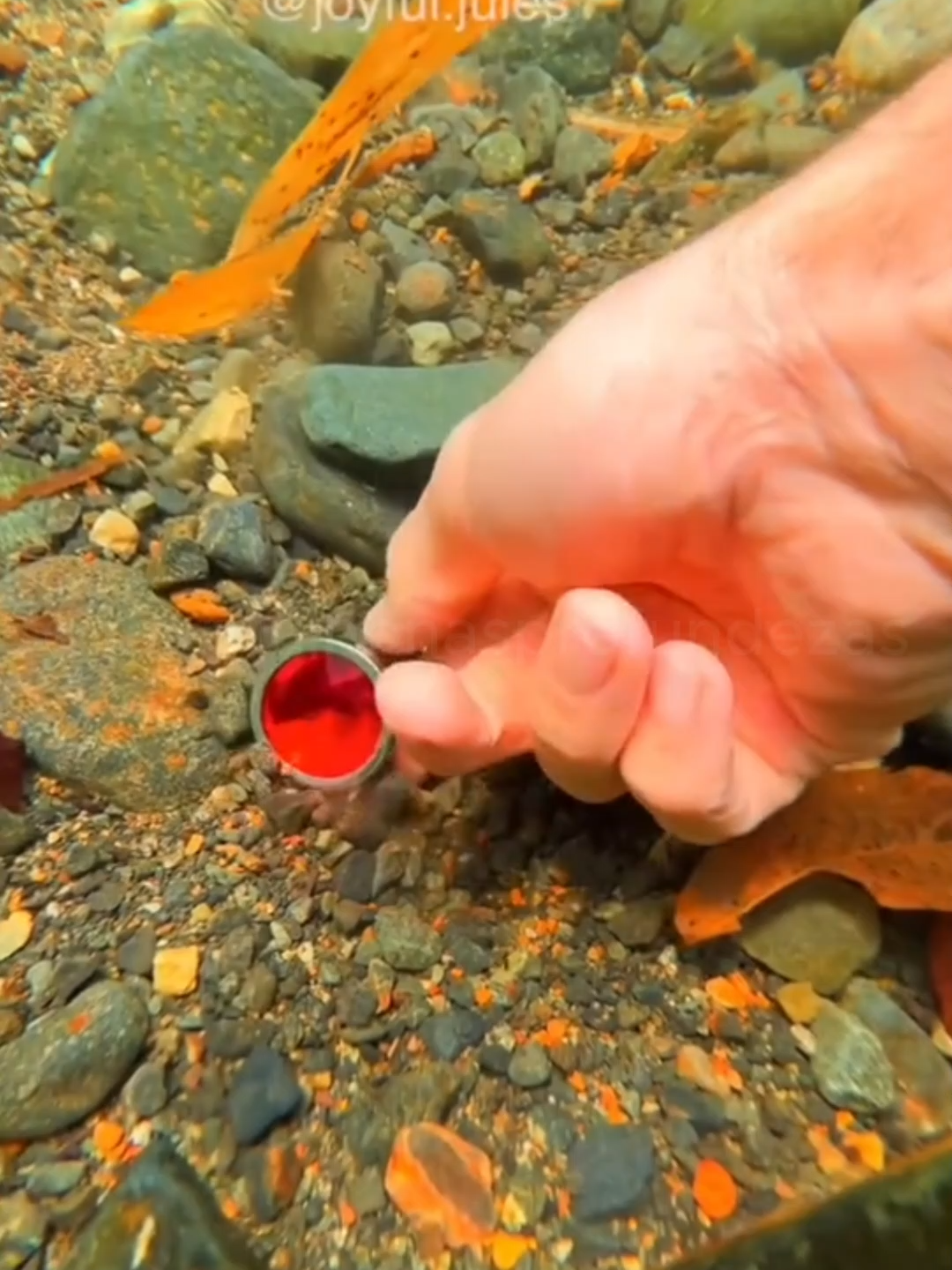 #satisfying #underwater #treasure #scubadiving #satisfyingvideo