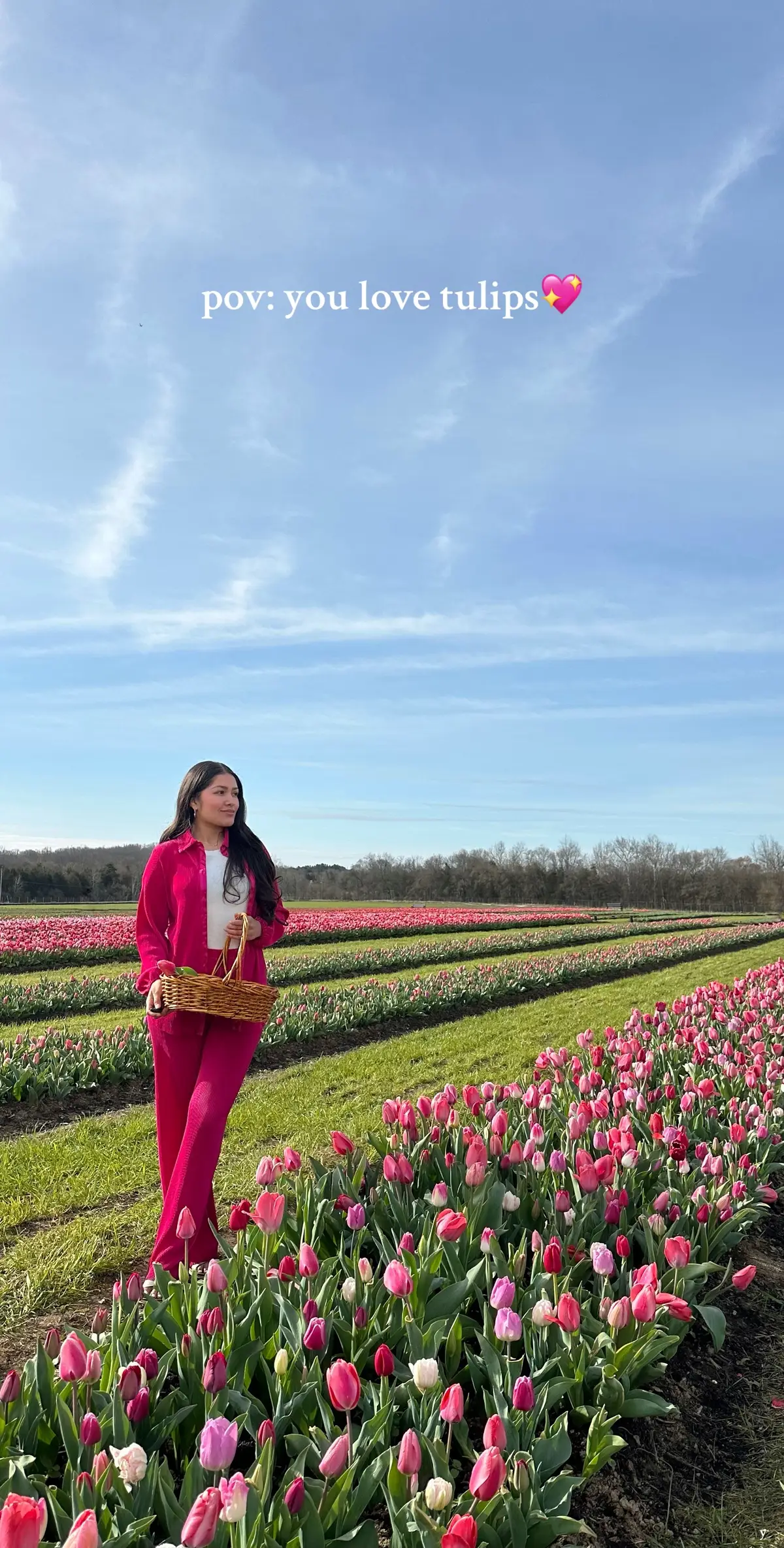 #fyp #parati #fypシ゚viral #viral #tulips #tulipanes #tulipseason #tulipfield #tulipfields #tulipanes #lovefortulip #lov #flowers #girly #girlythings #girls #tuliptips #fieldoftulips #tulip #tulipan #beautifultulips #paratii #flores #redtulips #orangetulips #pinktulips #whitetulips #yellowtulips #teamwork #girlssupportinggirls #purpletulips #tulipfields #flowers #favorite #pink #tulip #picture #tulipanes🌷 #hermosolugar #beautifullife #nature #photography 
