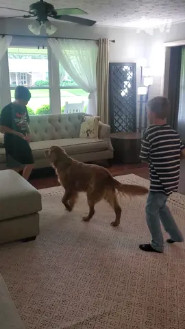 Is the dog named Whoopie? 🐕😂 #afv #pranks