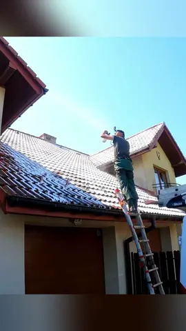 Have you ever seen a dirty tile roof like this? #cleanmoss #gardening #cleaninggarden #powerwash #cleaningvideo #exteriorcleaning #cleanwithme #pressurecleaning #pressurecleaner #satisfyingvideo #cleaningtok #lawn #lawntok #satisfy #wash #mossremoval #renovationlife #renovation #cleaning #overgrownyard 