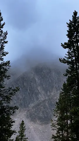 foggy stormy mountains #naturecore #fypシ 