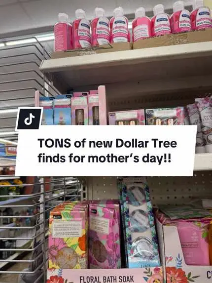 🚨🚨 Dollar Tree is popping off with all these new products for spring and mother’s day!!! #dollargoblin #dollartreefinds #newatdollartree 