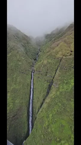 Had the opportunity to see the tallest waterfall in all Hawaiian Islands, Olo'upena Falls, Molokai. God is great, happy birthday to me. pt2. #molokai #hawaii #grateful #blessed  #maui #waterfall #hawaiian  #chasingwaterfalls #birthday #happybirthday #bucketlist #dreamcometrue #goal #foryou #traveler #cathlab #comewithme #joinme 