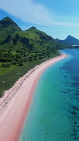 Pesona PinkBeach 😍🤪#nttpride🏝🔥 #wonderfulindonesia #pesonaindonesia #fyp 
