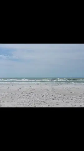 #beach  #clearwater  #foryoupage  #tiktok  #nobaddays  #seagulls  #ocean  #florida  @Clearwater, FL 