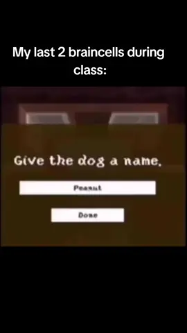 peanut or done 💀😭🙏 #fyp #schoolmemes #viral 