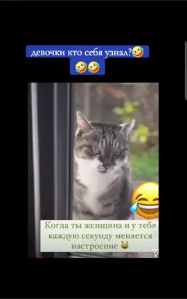 #приколы #юмор #смехдослез 