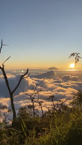 Dieng adalah dataran tinggi terbesar kedua di dunia (2.000 m di atas permukaan laut) setelah Nepal dan terletak di sisi barat Gunung Sindoro dan Gunung Sumbing. Dari pusat kota Wonosobo, sekitar 26 kilometer yang harus dijalani oleh para pengunjung untuk mencapai Dataran Tinggi Dieng ini. Secara administratif, Dieng berada di daerah perbatasan antara Banjarnegara dan Wonosobo. Suhu sekitar 12-21 ° C pada siang hari dan 5-9 ° C pada malam hari. Selama musim kemarau (Juli - September), suhu bisa mencapai -4 ° C di pagi hari. PROMO TRIP HARI RAYA IDUL FITRI! LIBUR BARENG KELUARGA LEBIH HEMAT !!! Harga Rp. 760.000/orang - PROMO PRIVATE TRIP HARI RAYA DIENG (MINIMAL 18 ORANG) Harga Rp.700.000/orang (Meeting Point Sesuai Request Peserta) HARGA SUDAH TERMASUK : Transportasi AC dari Jakarta-Dieng PP • Penginapan Homestay di Dieng • Makan 4 Kali • Tiket Masuk Wisata Dieng • Program Sunrise dari Puncak Bukit Sikunir • Transport Menuju Sikunir • Lokal Guide Dieng • Tour Leader • Perijinan Wisata • Foto Dokumentasi selama wisata • Perlengkapan P3K Standard • Air Mineral 1 Botol DESTINASI KUNJUNGAN : 1. Mata Air Suci Tuk Bimo Lukar 2. Kompleks Candi Dieng Peningalan Kerajaan 3. Dieng Theater 4. Batu Pandang 5. Kawah Sikidang 6. Bukit Sikunir Dieng Plateau Jadwal libur lebaran open trip dieng : 5-7 April 10-12 April 11-13 April 12-14 April 13-15 April 19-21 April 26-28 April INFO PEMESANAN : PT. Pasar Wisata Indonesia Mr. Helmi Endarto 📱 0819-9026-8812 (Whatsapp/Call) ✉️ Pasarwisataidn@gmail.com 🌐 www.pasarwisata.id 🔰 Open Trip ⛺ Paket Wisata ⚜️ Private Trip 🏡 Family Gathering 🏕️ Outing 🚌 Study Tour 🖼️ Gathering Kantor 📆 Event Organizer #lebaran2024 #idulfitri2024 #liburan2024 #dieng  #diengwonosobo  #diengplateau  #opentrip #cabindieng #negeridiatasawan #baturatapanangin #diengtheater #candiarjuna #kawahsikidang #sikunir #batuangkruk #sunrise #pasarwisatatripseru  #liburan #bandung #liburanseru #pulauseribu #pulautidung #pulauharapan #pulaupari #pulaupeucang #dieng #pulaupramuka #pulaudolphin #pasarwisata  #pasarwisataid