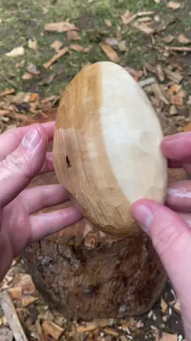 Got my wood a little wet