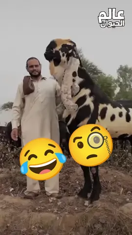 #😂😂😂 
