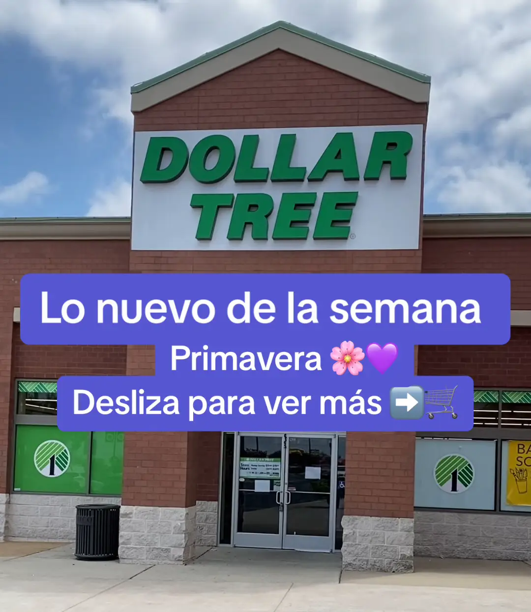 Chicas ahorita es cuando mas cosas lindas sacan 🌸💜🐰🌺🌼 #lonuevo #primavera #dollartree #dollartreefinds #conejo #pascuaencasa 