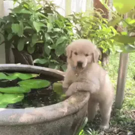 @-.. -.-- . -.- / 