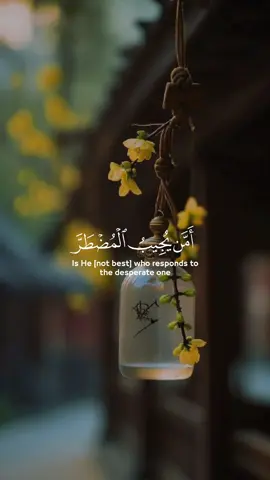 #امن_يجيب_المضطر_اذا_دعاه 🌿💚 #ارح_قلبك_المتعب_قليلاً🤍💫  #عبد_الله_الموسى  #اكسبلورexplore  #foryou  #viral #fypシ #CapCut 