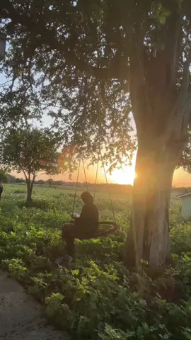 Ramadan Mornings in the country side ft. Spring #alhumdulillah #Ramadan #morning #sehri #sahoor #quran #islam #muslim #hijab #nasheed #peace 