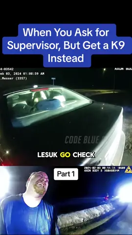 When You Ask for Supervisor, But Get a K9 Instead