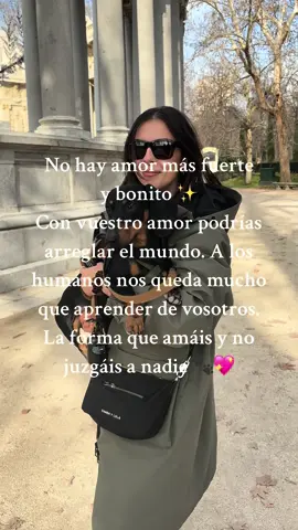 No hay amor más bonito 🥹💞 #amor #teckel #teckelespaña #teckelmania #dogsoftiktok 