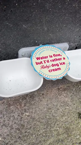 Water is okay and all, but i’d rather a Ruby’s Ice Cream 🐾🍓 . . . #icecream #rubysicecream #fowey #foweycornwall #cornwallbusiness #local #icecreamcornwall #foweyharbour #dogs #dogsoftiktok #tiktokdogs #dog #puply #cute #happy #Love #instagram #instadog #doggiesoftiktok #tiktokcornwall #foweyriver 