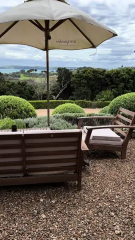 Hii 🦆 #vinyard #mudbrickvineyard #waiheke 