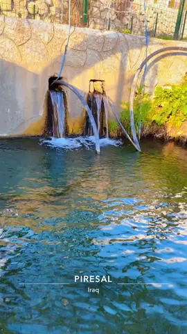 #foryou #kurdistan #barzan #pirasal 