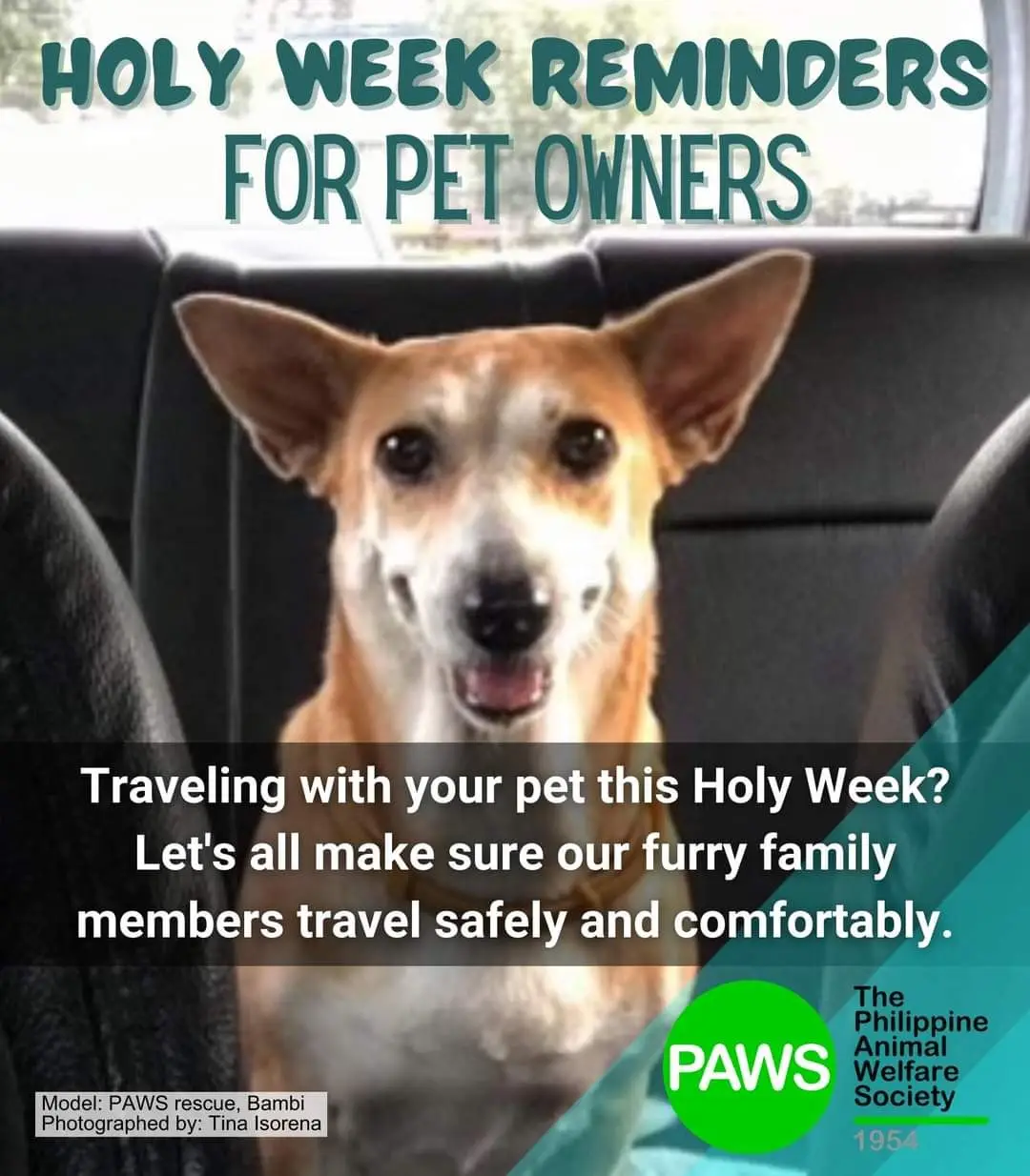 Here are some reminders to keep our furry family members safe and healthy.  Kindly share on your page to help raise awareness and remind fellow pet parents, PAWS friends.  Thank you and have a blessed week!