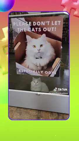 🚨hashtag wars🚨 #CatBooks kitty litter-ature