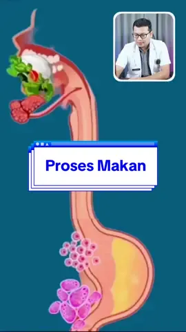 Proses Sistem Pencernaan kita ? Gimana makanan sehari hari kalian sudah baik atau belum, setuju gak kalau sakit itu mahal #pencernaan #lambung #usussehat #makanansehat #drsaddamismail