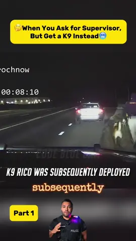 When You Ask for Supervisor, But Get a K9 Instead Part 1 #police #USA