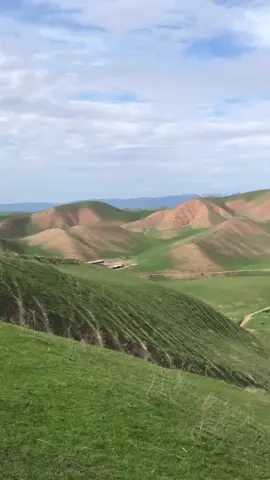 #uzbekistan #nature #tashkent🇺🇿 #tiktok #world #krasnagorsk 