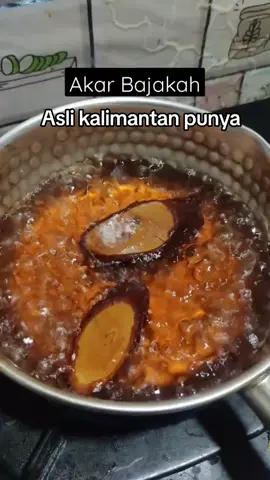 Sudah ready kembali ya Akar bajakah nya, Jangan sampai kehabisan buruan CO #herbaltradisional #khasiatakarbajakah #akarbajakah #tiktokshop #JelajahRamadan #akarbajakahaslikalimantan 